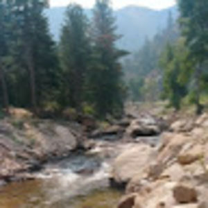 Meet your Posher, Bradyn